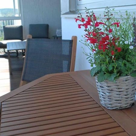 Skyline Appartement Mit Pool And Netflix Kronberg im Taunus Exterior foto