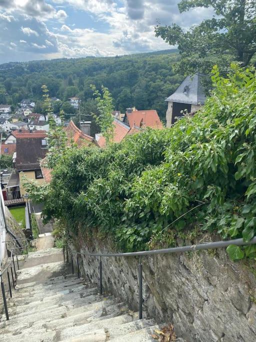 Skyline Appartement Mit Pool And Netflix Kronberg im Taunus Exterior foto